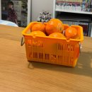 제주고집 - 미추홀구 염창로 73 | [제주 함덕 맛집] '고집돌우럭 제주함덕점' 방문 후기 (기프트샵, 주차, 웨이팅)