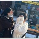 부산 강아지분양 디테일퍼피 이미지