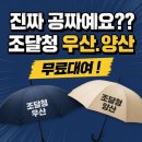 유성구청 버스정류장 | 진짜 공짜예요?? 조달청 우산.양산 무료대여!