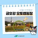 금호강 오토캠핑장 이미지