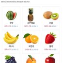 솔레노어 양정 이미지