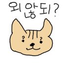 스페셜신발