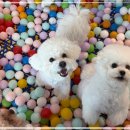 나른한 오후의 목욕 이미지