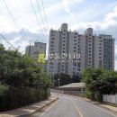 독고개길 이미지