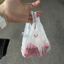 야미타코 이미지