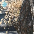 유림-1151 | 경기도 파주 가볼만한곳 | 파주운정호수공원 파주자운서원 | 서울근교산책