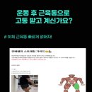 아르케 핏 이미지