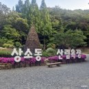 성터국밥집 | [대전] 한국의 앙코르와트, 한국의 치앙마이 '상소동 산림욕장' 돌탑의 비밀