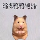 선영이네 이미지