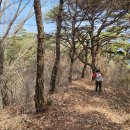 곡성-184 티스토리