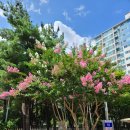 가현어린이공원 이미지