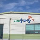 승마장 | [승마 배우기] 마사회 호스피아 힐링승마 지원사업 선정, 양주시승마장 수업 후기