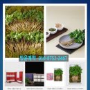 드림큐브시스템