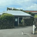 UR(제주시)-[동복로]-하-1 | 🍊 제주 3일차 : 소품샵 / 북카페 / 흑돼지 츄베릅