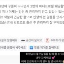에스티에이 피티(STA PT)