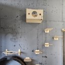 황금산 고양이 | [남양주 고양이미용] 다산동 무마취 고양이 미용 황금산 고양이