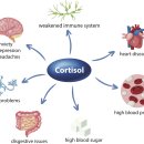 어라운드짐 망원역점 이미지