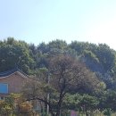 새봉낚시터