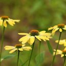 윤가네밥상 이미지