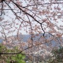 수선화모텔 이미지