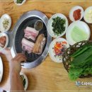 스파식육 이미지