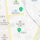 용인대 대동 태권도 이미지