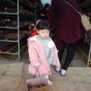 아기새어린이집 이미지