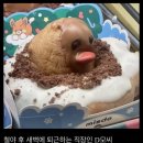 처갓집양념치킨 하양점 | 2025