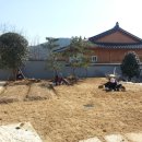 천일조경