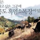 천해목장 네이버블로그