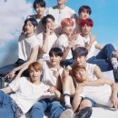 Blossom for you 이미지