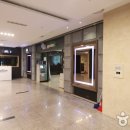 더 스파 인 가든파이브 티스토리