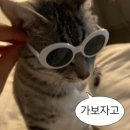 카페우내 이미지