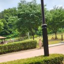 부락산문화공원 CCTV | 평택 부락산문화공원 후기 — 아이와 여름 나들이 딱 좋은 곳! 물놀이부터 피크닉, 테마놀이터까지