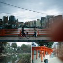 부산필름현상 후기 필카 코닥 일회용 플래쉬 카메라 FUNSAVER 39 : 전포 헤르츠삼오 부산점