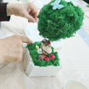 중구노인복지관 | [원예테라피]중구노인복지관 어르신들과 올해도 함께 하며 행복시간을 만들예정입니다