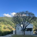 유주별장 이미지