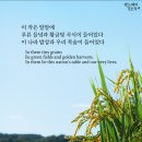 DMZ 지뢰폭발 사고와 우크라이나 북한군 포로 송환 문제의 핵심을 생각해 보다 이미지
