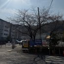 진해중앙시장 입구 앞 보도 | 진해 전현무계획 “이코노피자” 평일웨이팅 널널해진!! 후기