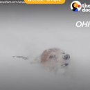 똥꼬발랄 이미지