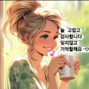휠링 Daum카페