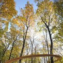 숲으로 가는 길 이미지