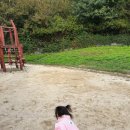 중랑가족캠핑장 | [서울/중랑구] 20개월 아기와 서울에서 캠핑 "중랑가족캠핑장"7-3사이트 후기