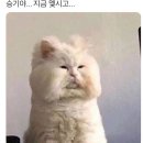 (주)홍탕 이미지