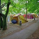 내장산국립공원 내장야영장 이미지