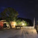 소나무캠핑 이미지