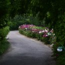 포원
