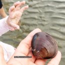 갯벌슈퍼 네이버블로그