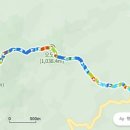 버스정류장(죽전네거리 2) 이미지