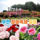 장미축제 이미지